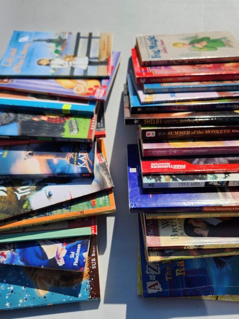 4 Book Bundle Lot Set Chapter Books Young Adult Literature Novels Mystery Books - Picture 9 of 16